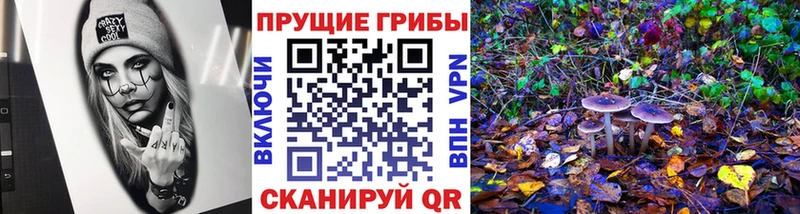 Галлюциногенные грибы Psilocybe  Купить где  Радужный 